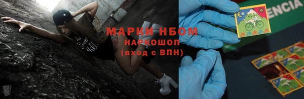 прущие грибы Армянск