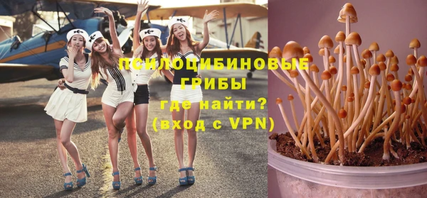 прущие грибы Армянск