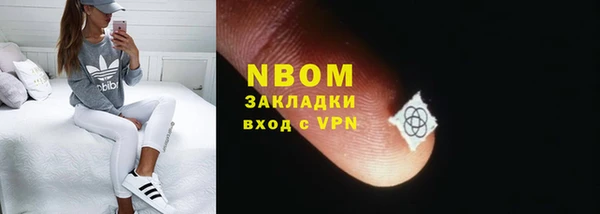 прущие грибы Армянск