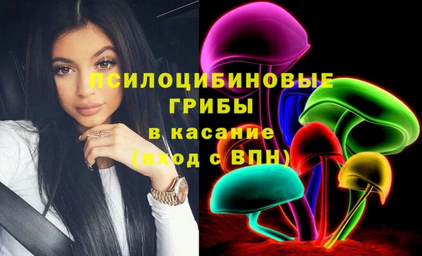 прущие грибы Армянск