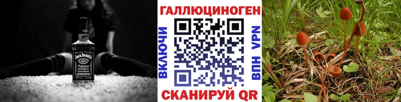 mega как войти Славск Галлюциногенные грибы MAGIC MUSHROOMS